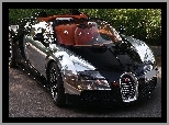 Bugatti Veyron 16.4 Grand Sport