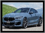 DAHLer, BMW M850i Coupe