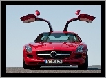 Drzwi, Mercedes SLS, Otwarte