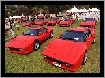 Ferrari 288 GTO, Zlot